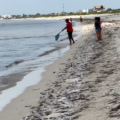 Confirman marea roja en Yucatán