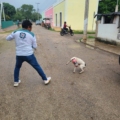 Rescatan en Valladolid a perrita con la cara atrapada en una botella